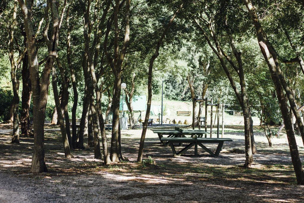 Camping Le Bois Fleuri Hotel Argelès-sur-Mer Exterior foto